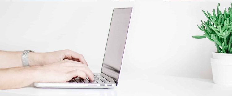 Hands typing on a silver laptop at a white desk with a green succulent plant to the right.